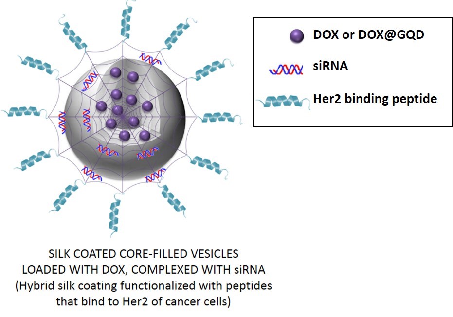 CONCERT Silk coated honeycomb nanocarriers for cancer therapy